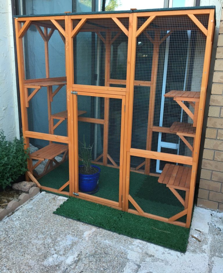 Enrich Your Cat's Life with an Outdoor Safe place