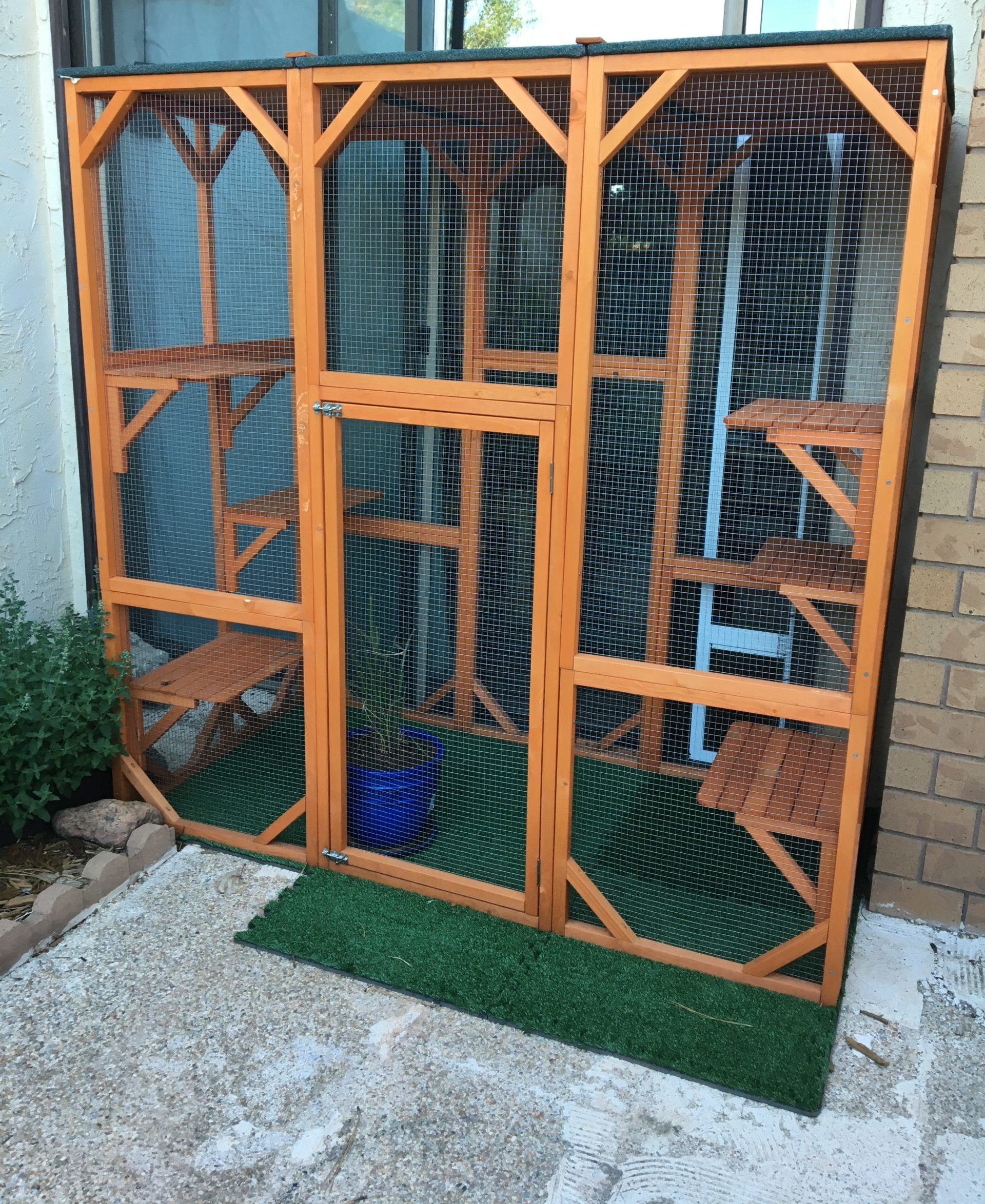 Enrich Your Cat's Life With An Outdoor Safe Place