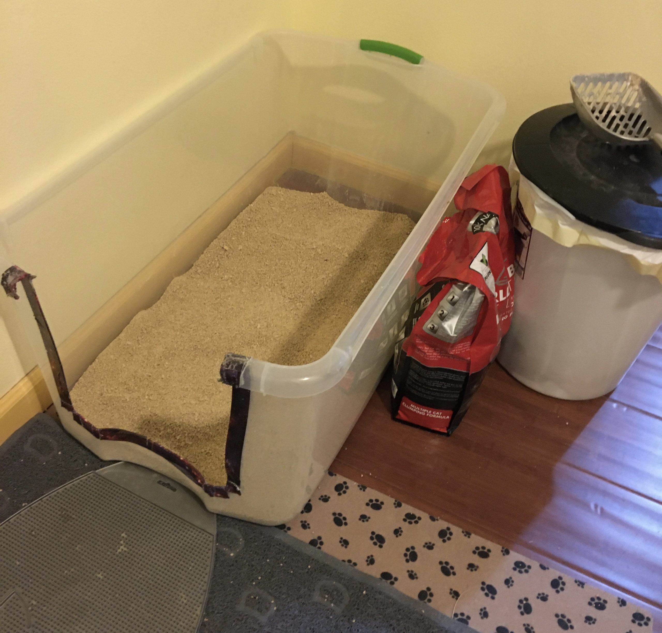 The Cat Friendly Home: Litter Box Basics The Feline Purrspective