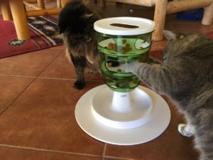 https://www.felinepurrspective.com/wp-content/uploads/2022/02/2-cats-with-Catit-Food-Tree-300x225.jpeg